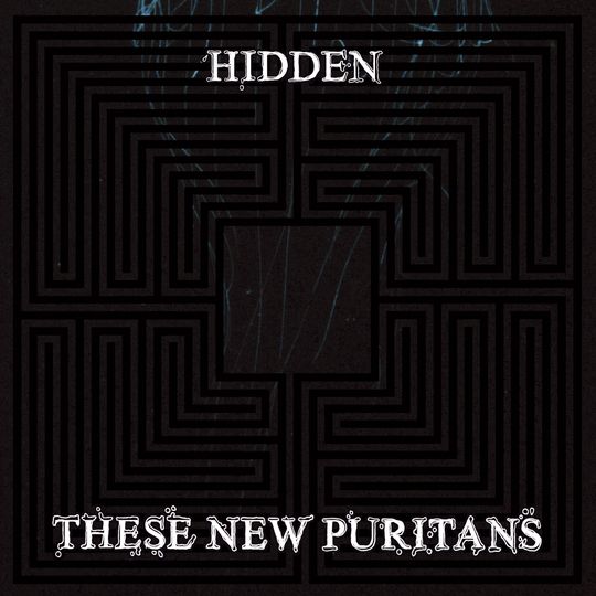 These New Puritans – Hidden