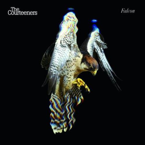 The Courteeners — Falcon