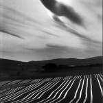 Арбузные-плантации,-покрытиые-пленкой,-Прванс,-Франция-1976