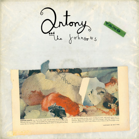 В октябре выйдет новый альбом Antony and The Johnsons