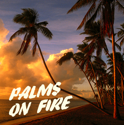 Palms On Fire — Palm Tree